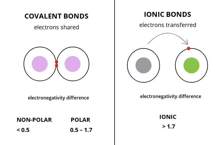 https://firebasestorage.googleapis.com/v0/b/fiveable-92889.appspot.com/o/images%2Fionic-covalent-1.jpg?alt=media&token=eaf6c279-96e3-4e4c-b6be-07a0ba4e8191