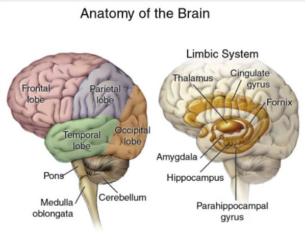 ap psych problem solving techniques