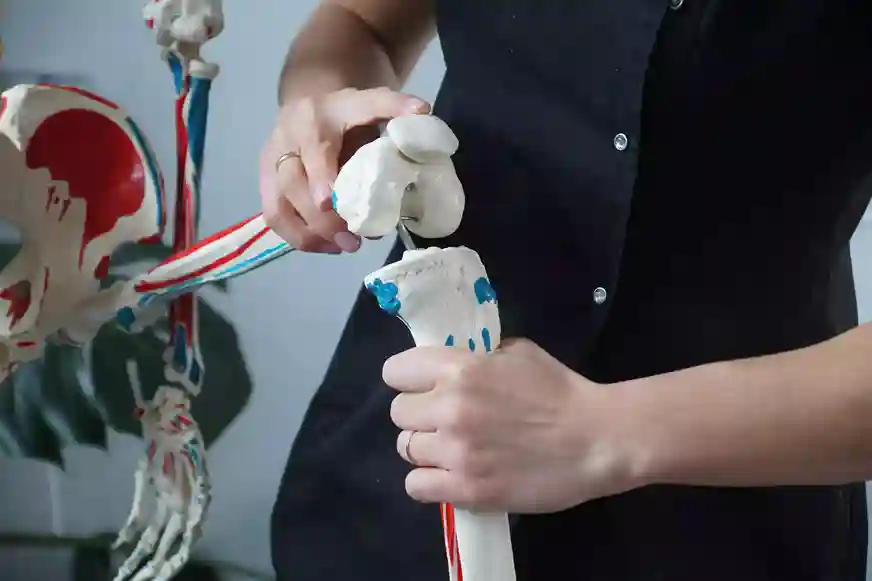 Specjalistyczna terapia manualna w gabinecie fizjoterapii FizjoNature w Szczecinie.