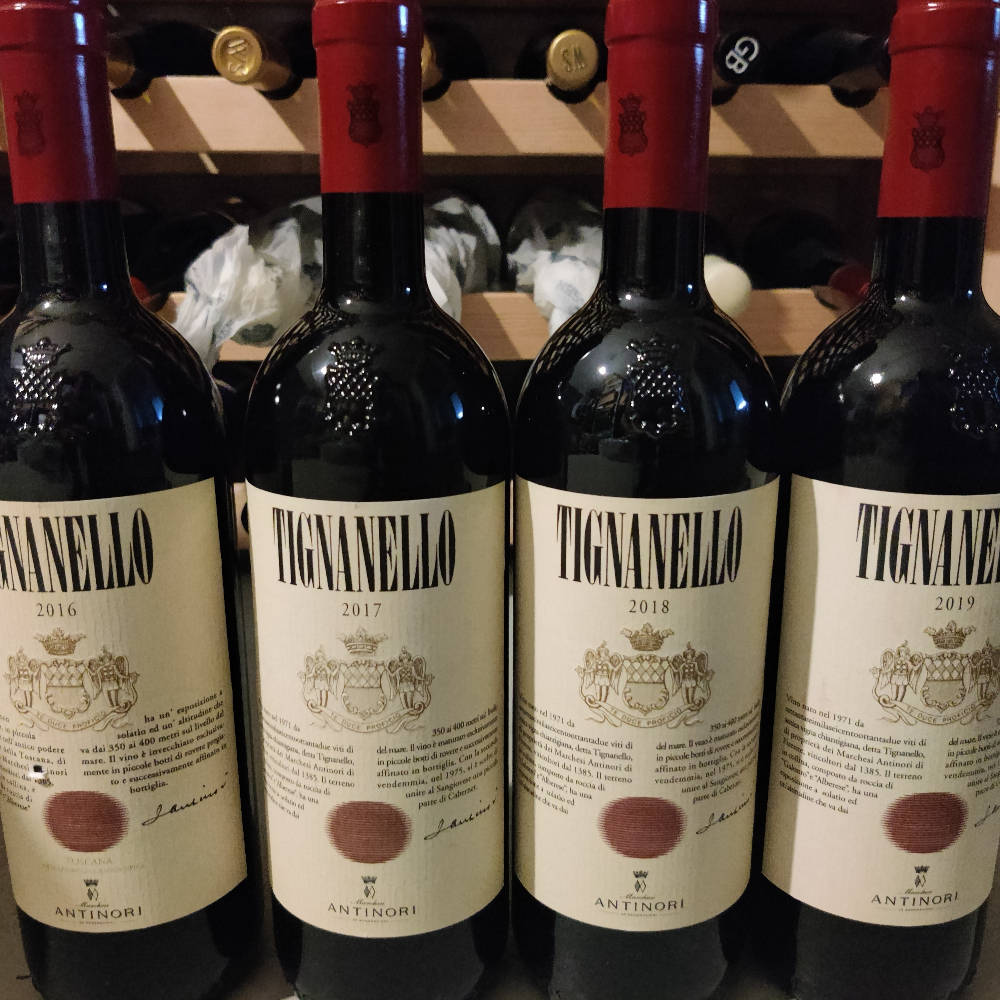 Tignanello Mini Vertikale 2016-2019