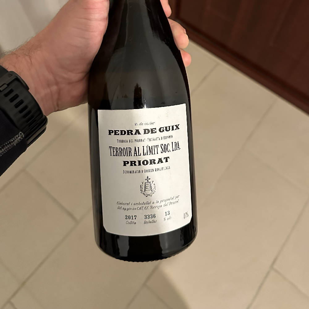 Terroir al Limit Pedra de Guix 2017