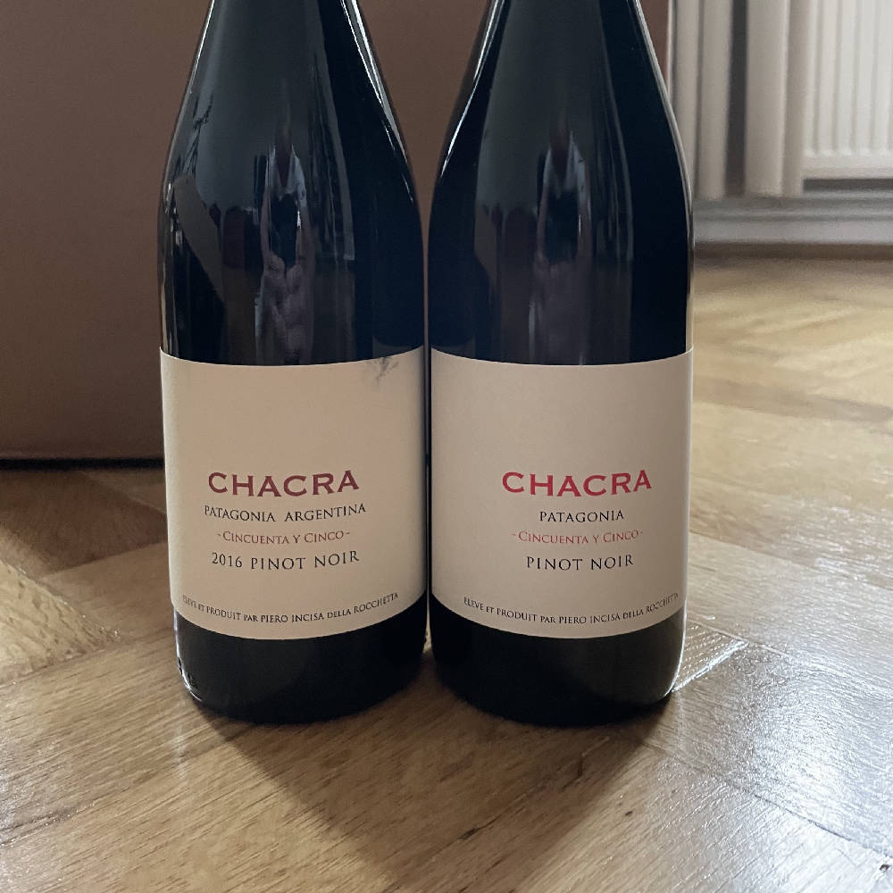 Pinot Patagonia (16,21) Chacra 