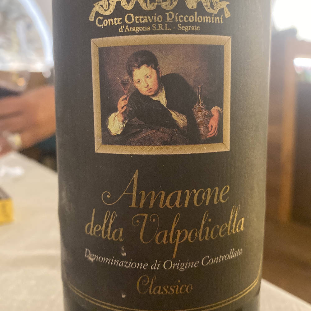 Amarone della valpolicella 2000