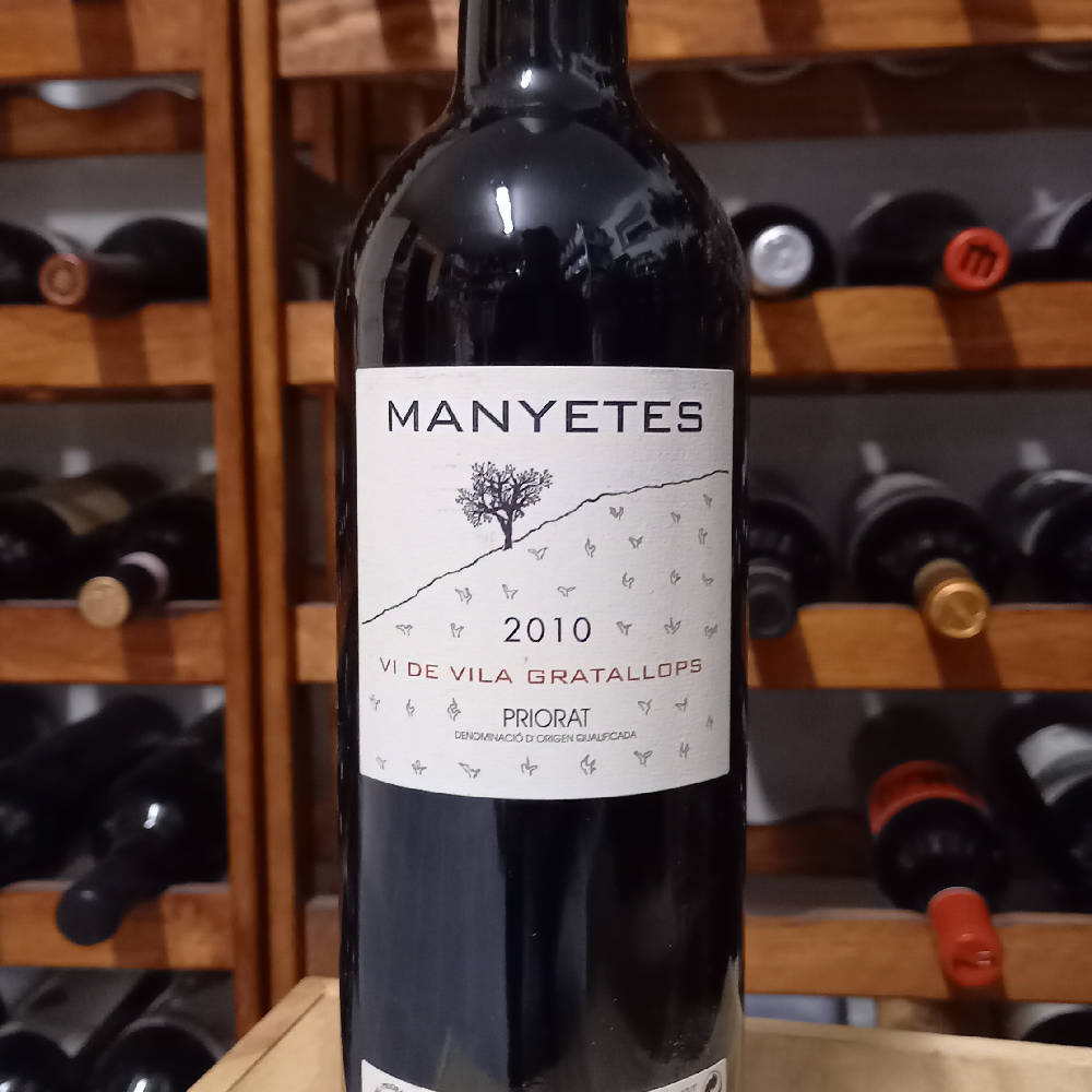 Manyetes 2010