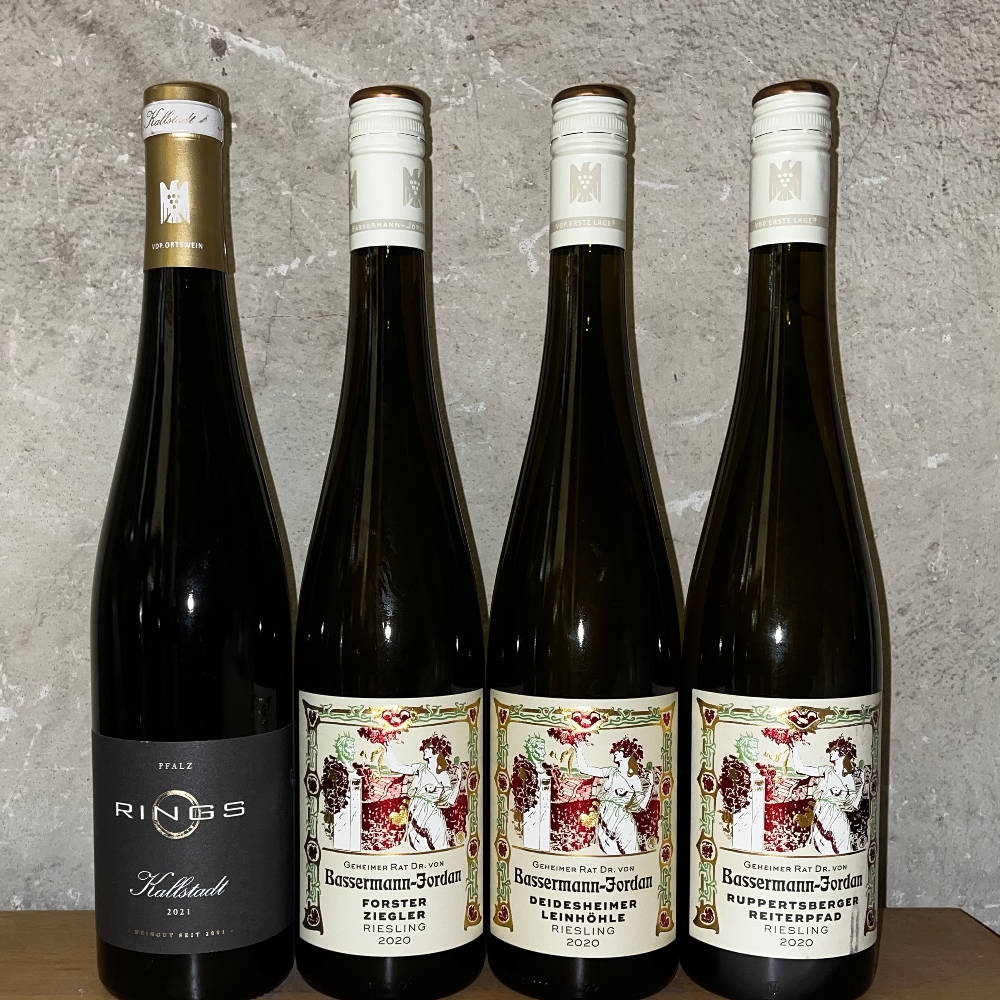 Riesling Paket Pfalz