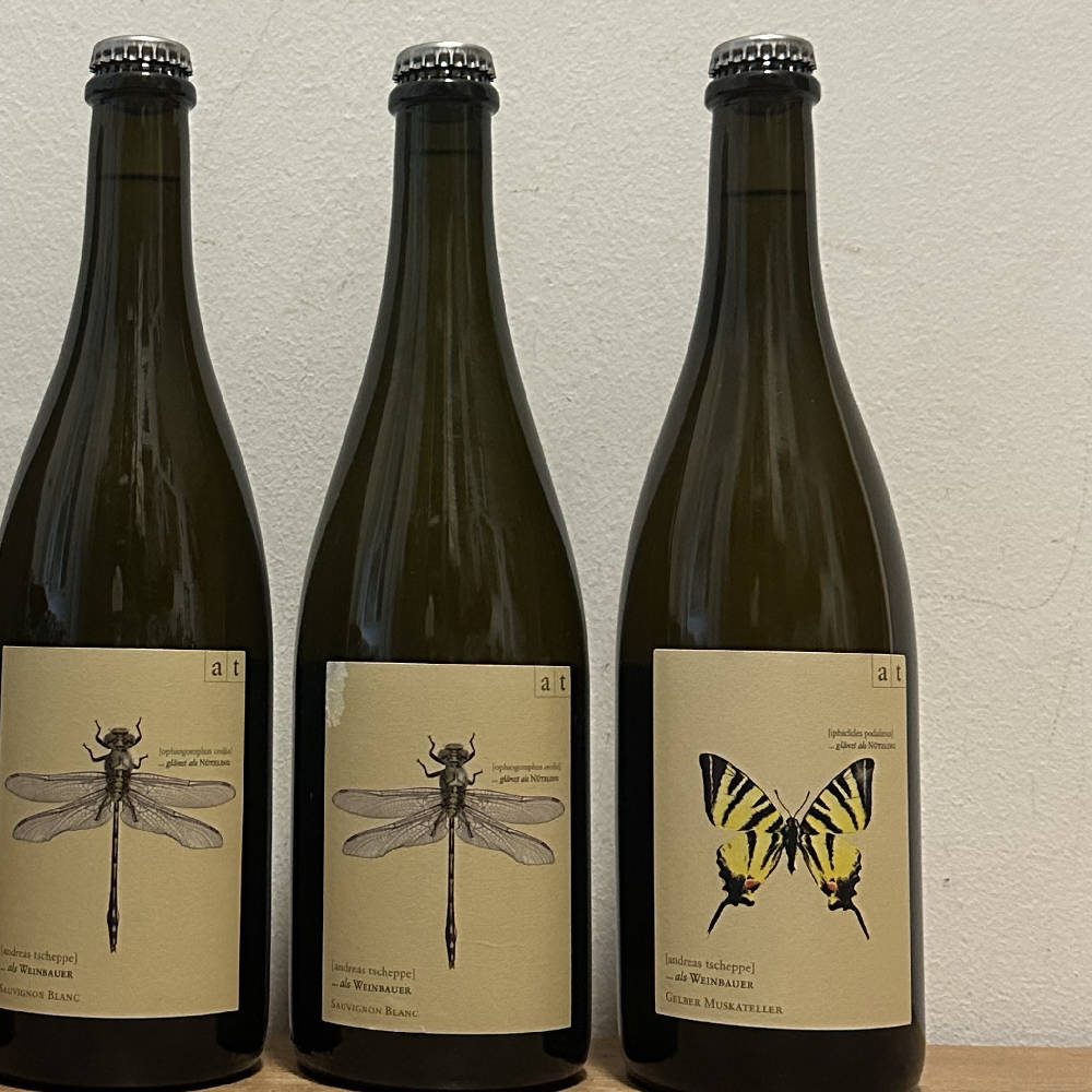 2 x Andreas Tscheppe Plus - Gr. Libelle 21 & Segelfalter 22