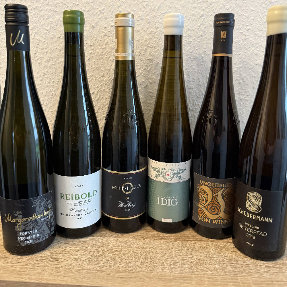 6 Flaschen Pfälzer Spitzenriesling