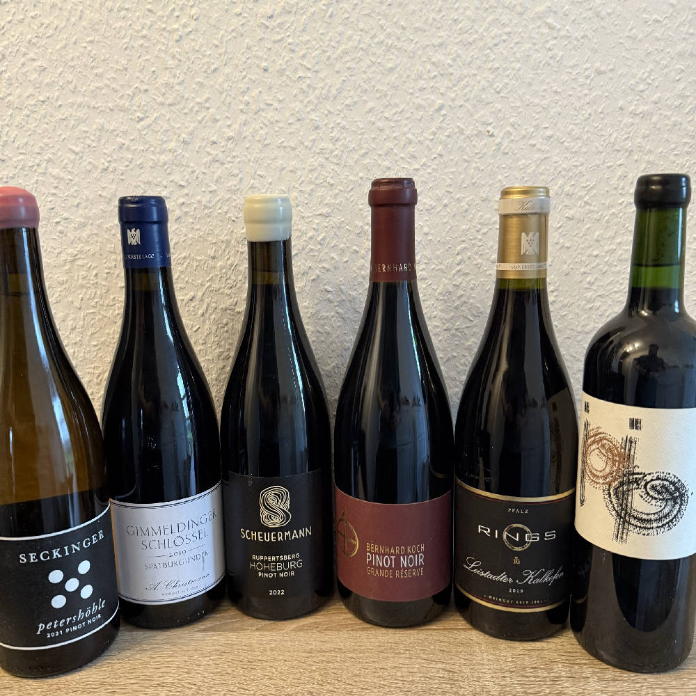 Spitzen Rotweine Pfalz (5 x Pinot & 1 x Merlot)