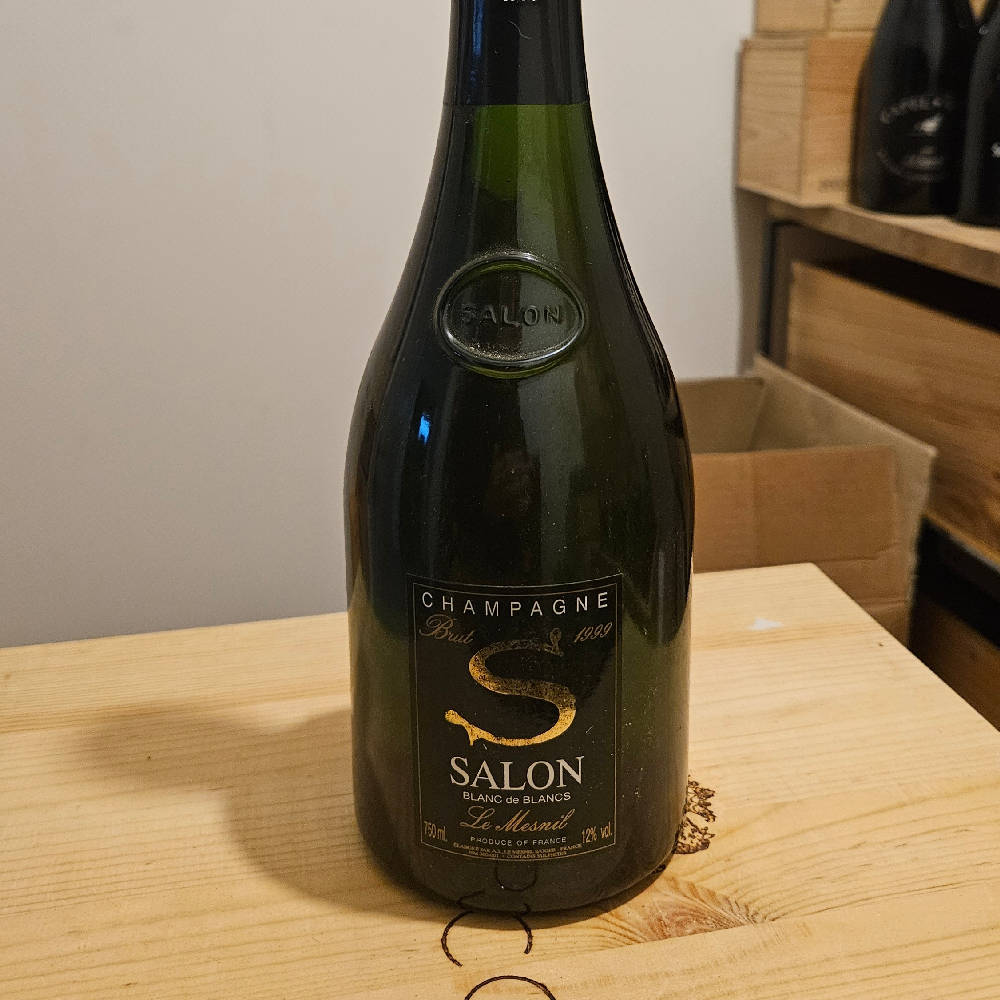 Salon S Le Mesnil 1999