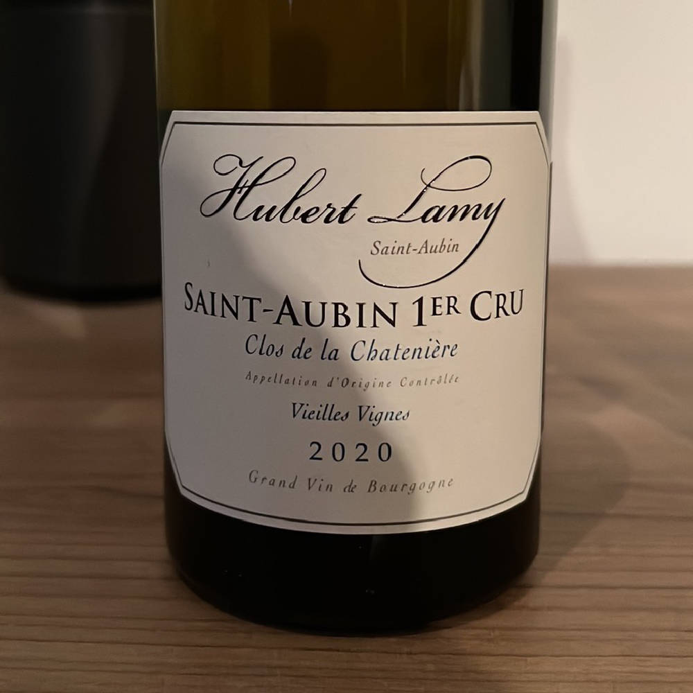 Hubert Lamy Saint Aubin 2020