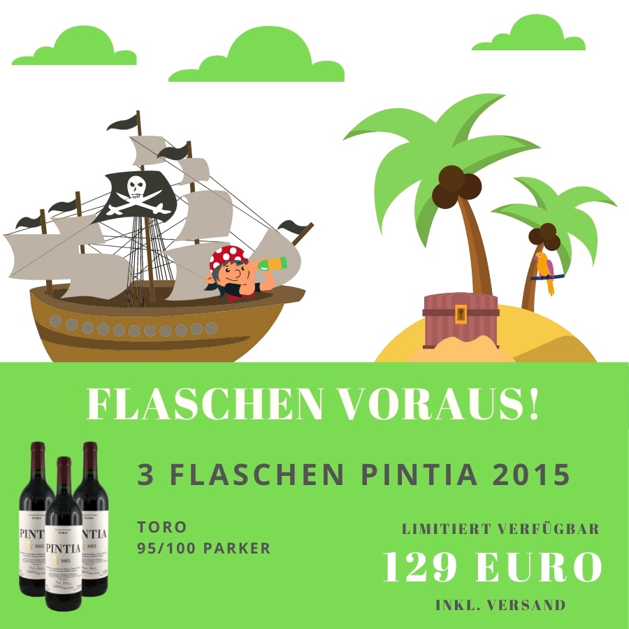 🚀3 Flaschen Pintia Toro 2015😋🍷