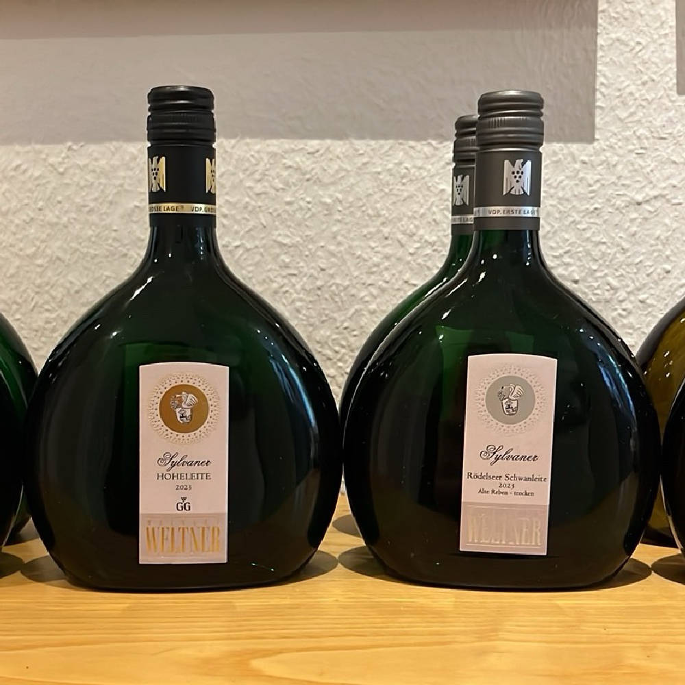 Paul Weltner Silvaner Paket 2023 - 8 Flaschen 