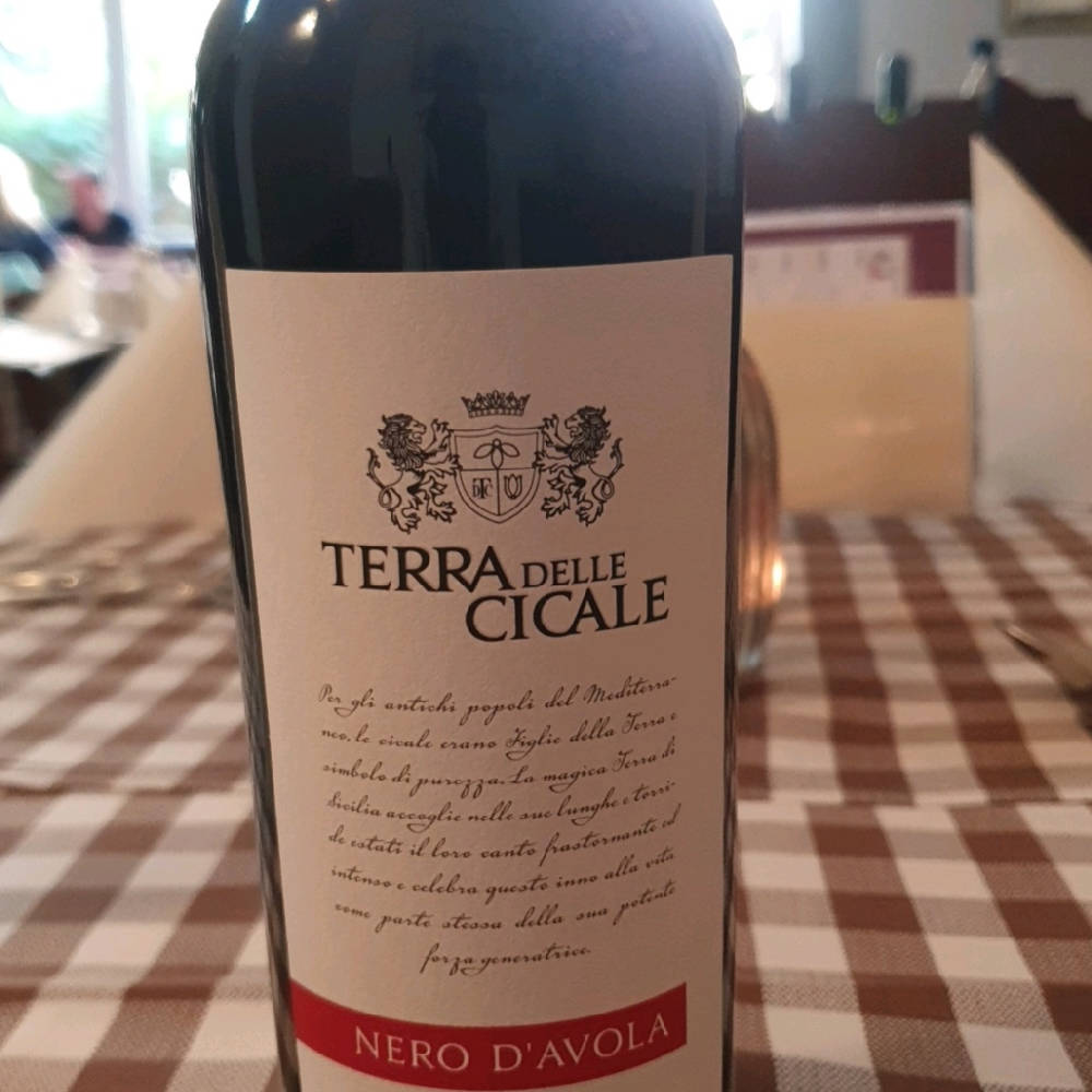 Terra Delle Cicale