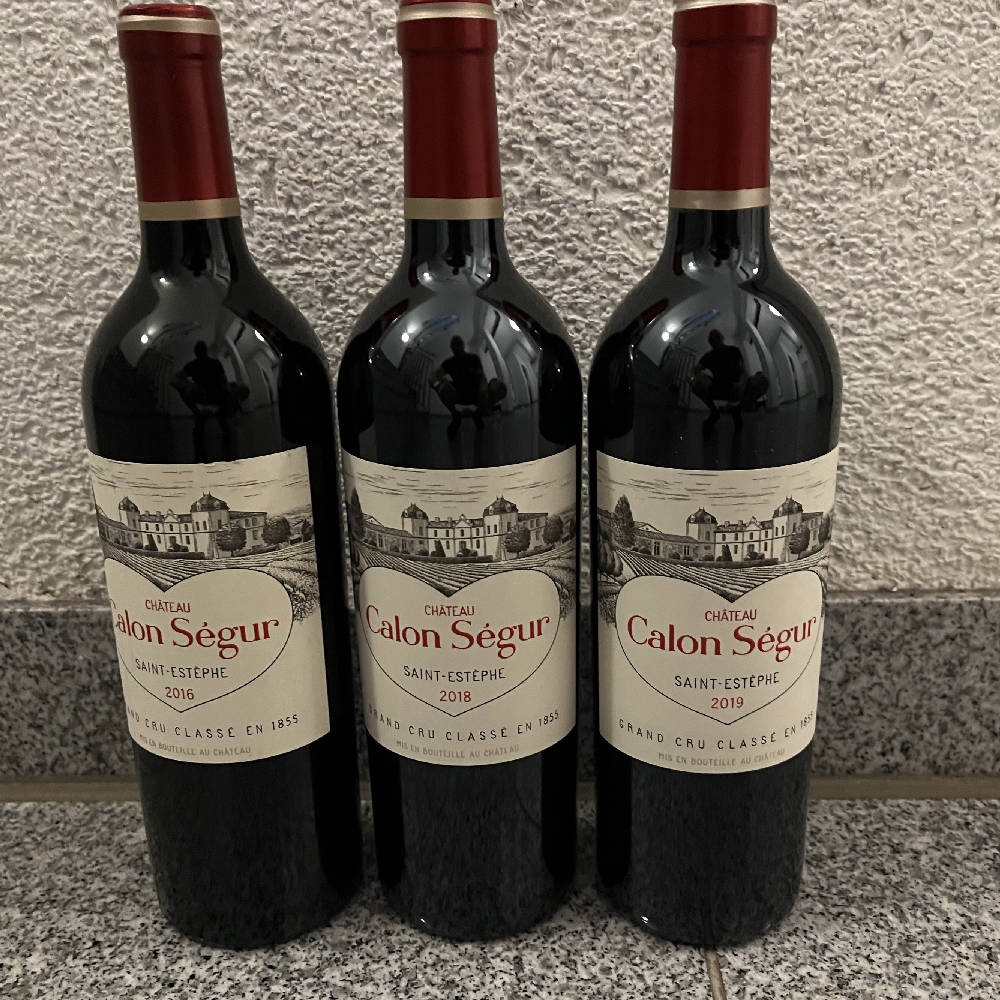 Calon Segur St. Estephe kleine Vertikale 2016&2018&2019