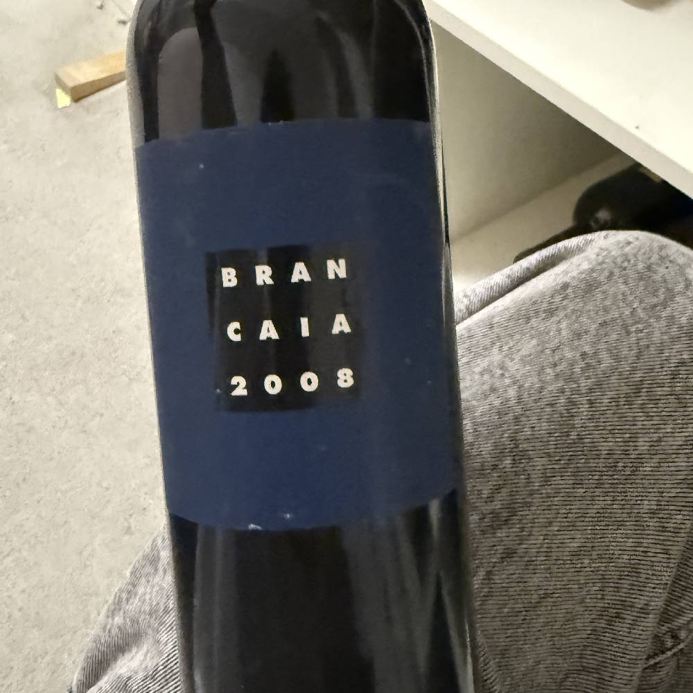 Bran Caia 2008