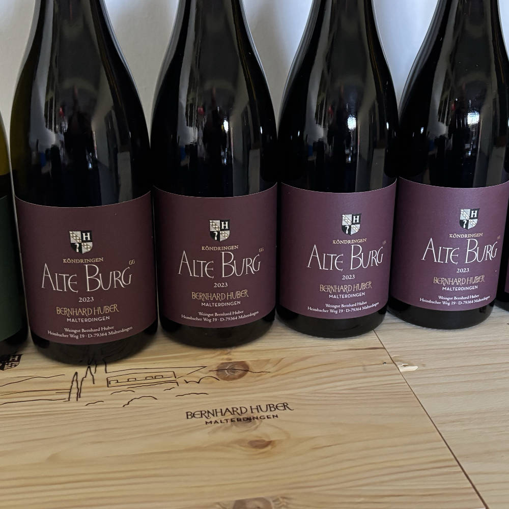 Bernhard Huber Alte Burg 2023