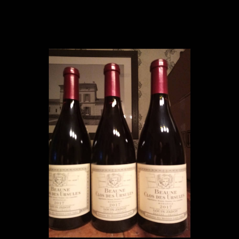 2017 Beaune Clos des Ursules Louis Jadot 