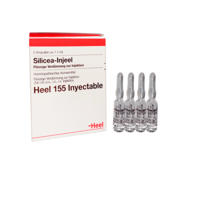 SILICEA INJEEL AMPOLLAS