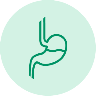 SISTEMA DIGESTIVO icono