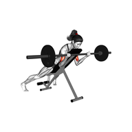 What is a Barbell Spider Curl? 