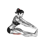 What is a Seated Hamstring Stretch?