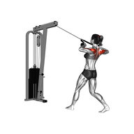 What is the Face Pull Exercise?