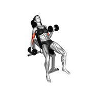 Alternating Incline Dumbbell Curl