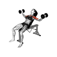 What is Incline Dumbbell Chest Flys?