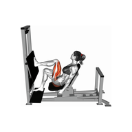 What Is the Single Leg Press?