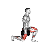 What Is The Dumbbell Reverse Lunge