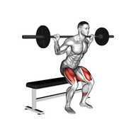 What Is the Barbell Box Squats