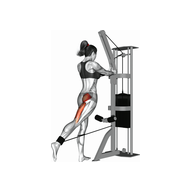 What Is the Cable Glute Kickback