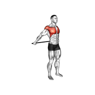 What Is The Shoulder Extension