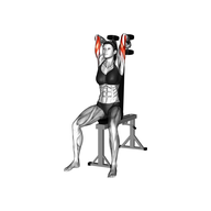 What Is Seated Tricep Press