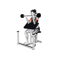 What Is the Preacher Curl