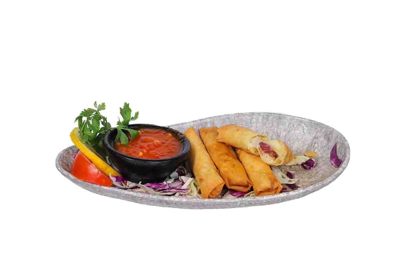 Pastrami Spring Rolls