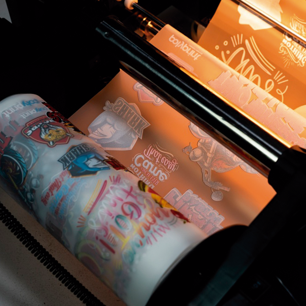 Polyprint Impresora FilmJet Mini 30 DTF 5