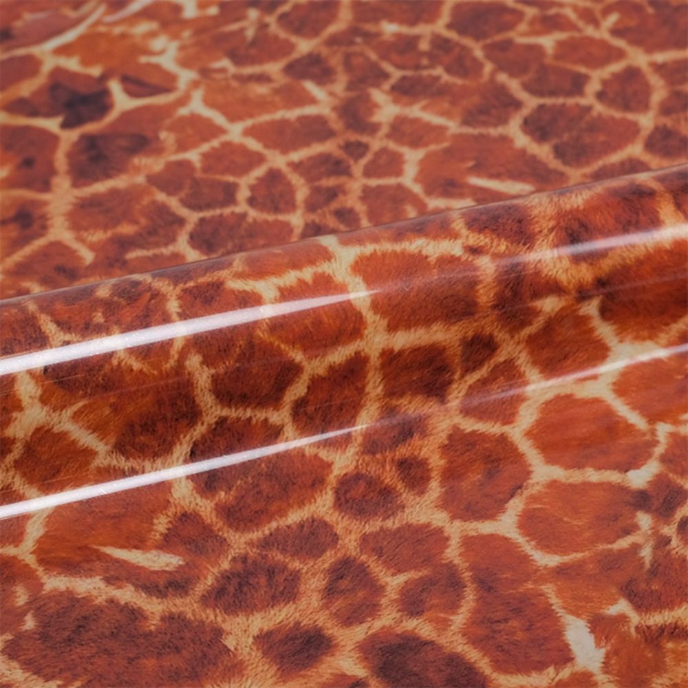 WILD-GIRAFFE