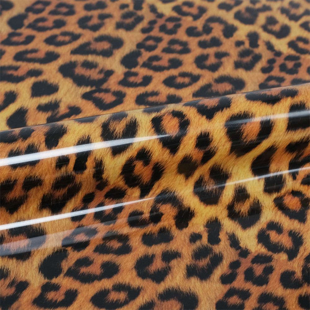 WILD-LEOPARD