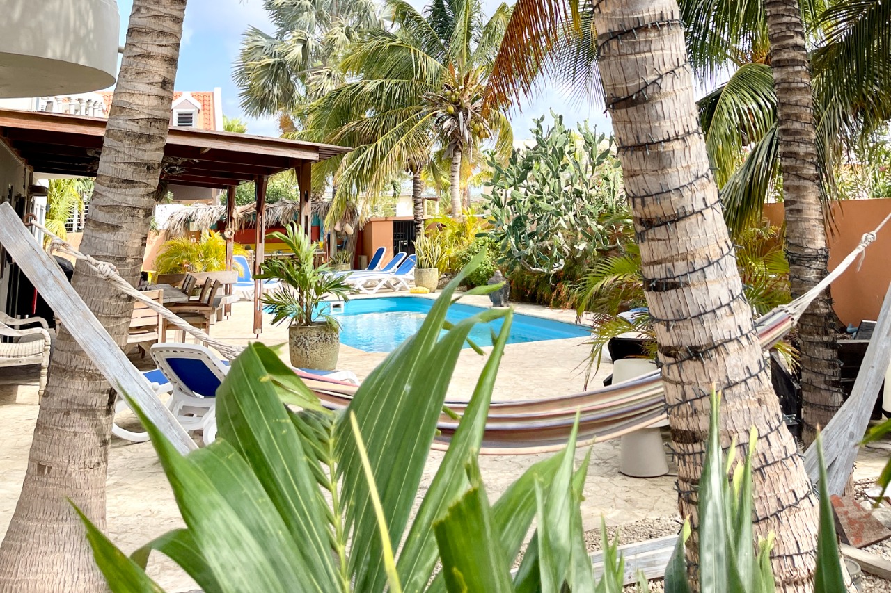 Oasis GuestHouse Bonaire logo