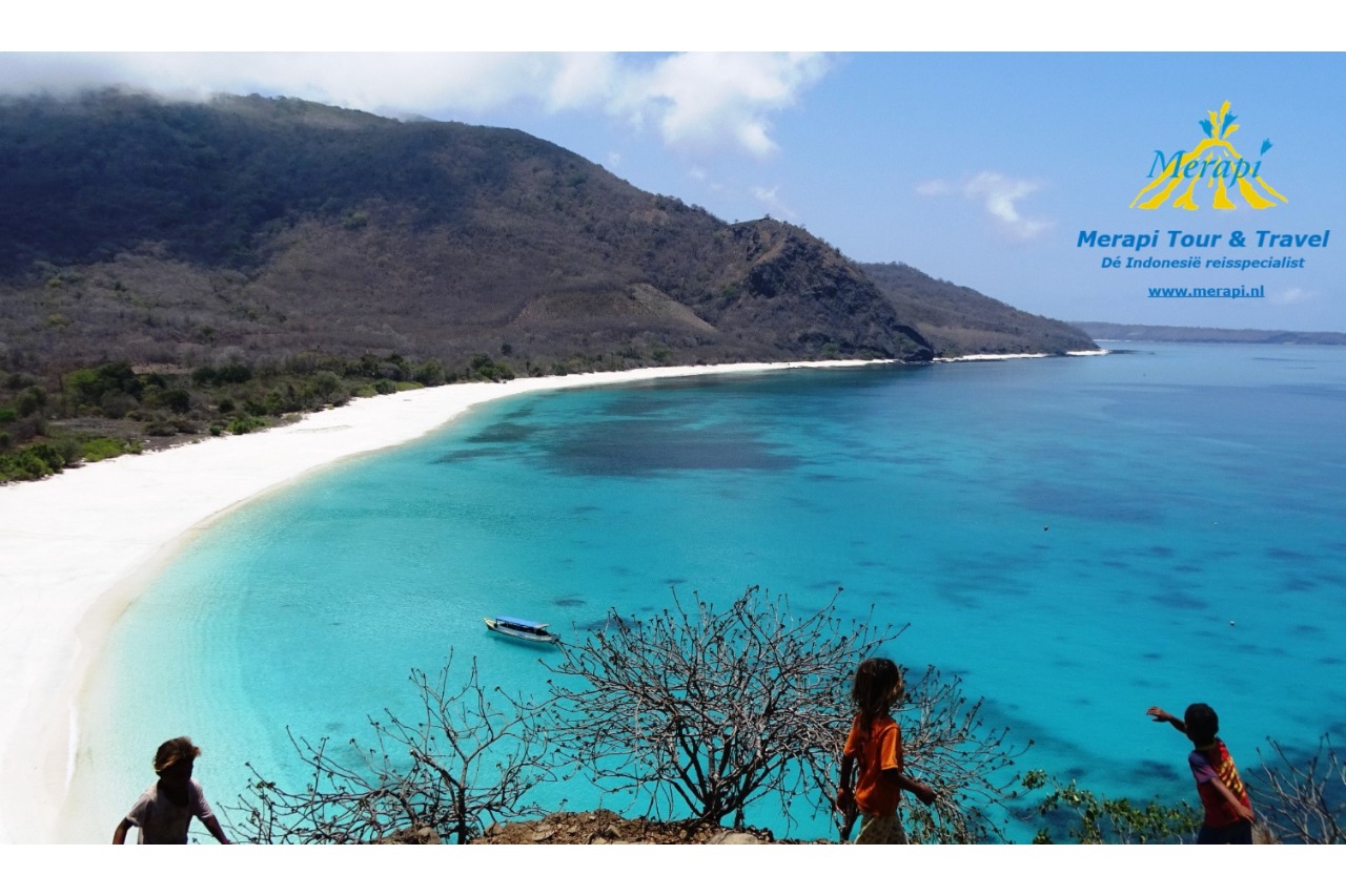 Merapi Tour and Travel logo