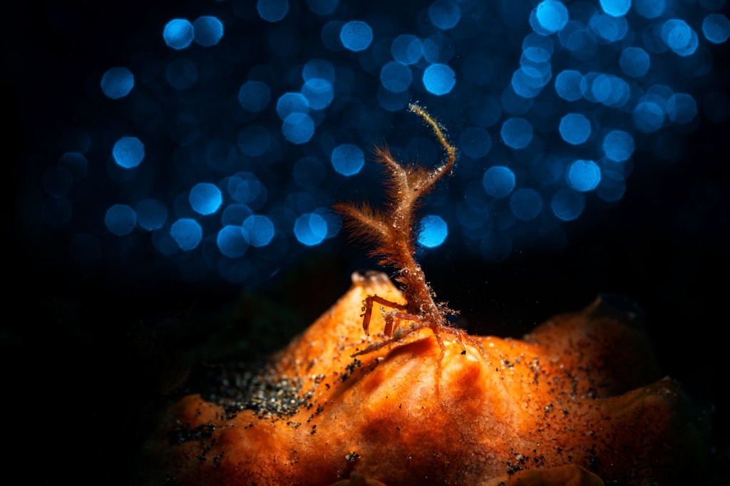 Essentiële oefeningen voor foto's met een wow-factor