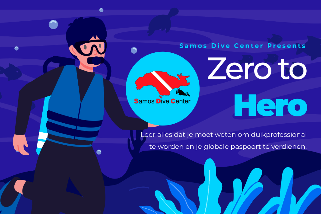 Zero to Hero, de roadmap voor je globale paspoort