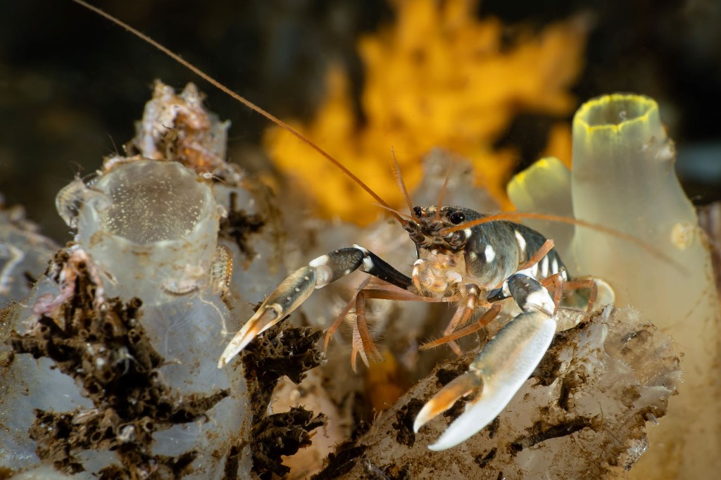Nieuwsgierig zijn! | Meer zien, dat kan, versie 3.0