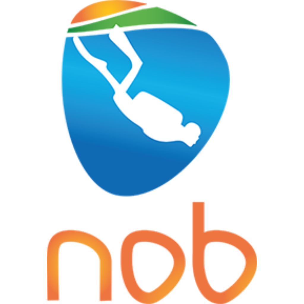 Erik Mooij, Veiligheidscommissie NOB