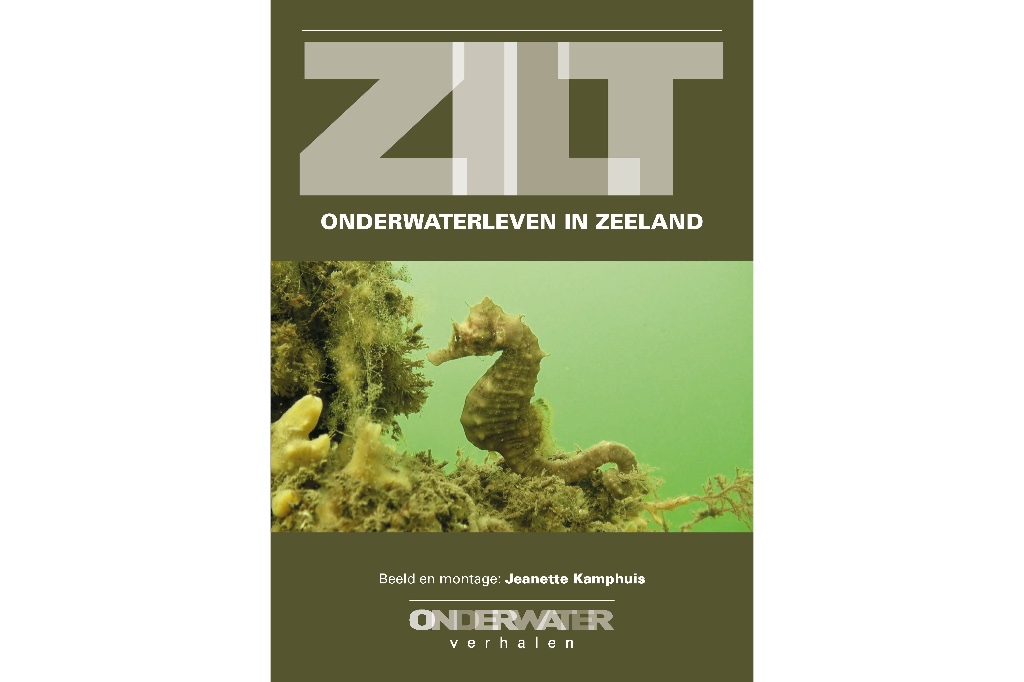 de film Zilt, onderwaterleven in Zeeland