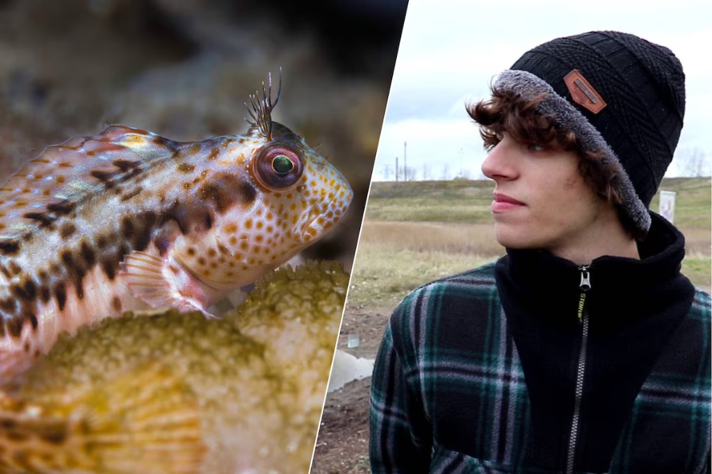 Alle Vissen Van Nederland: van sloot tot zee!