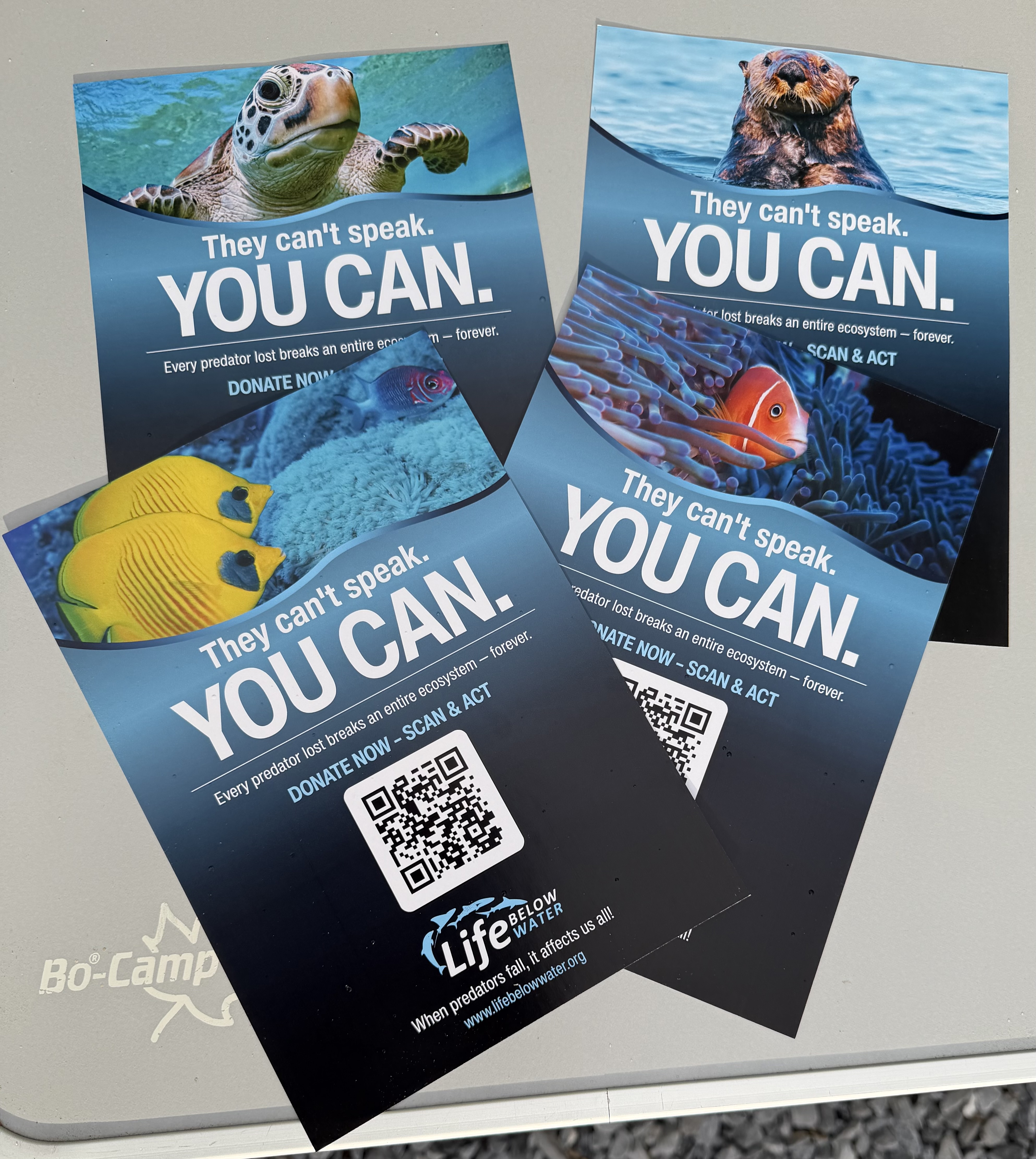 Stichting Life Below Water op Duikvaker 2027 – oceaanbescherming en bewustwording