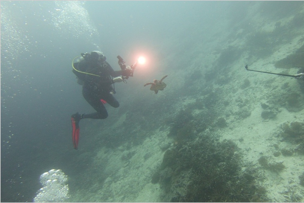 Ronald Faber presenteert nieuwe film op het Onderwaterwereld Filmfestival