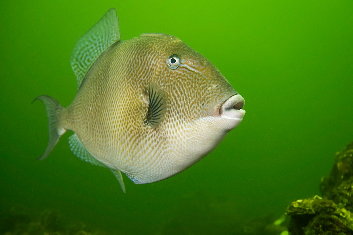 Bas van der Sanden, passie voor Zeeland